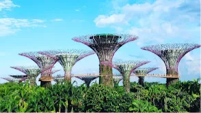 Gardens by the Bay